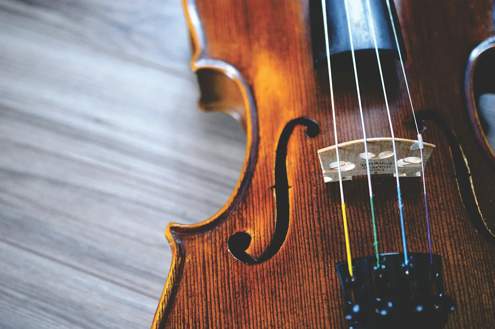 A violin on a grey background.